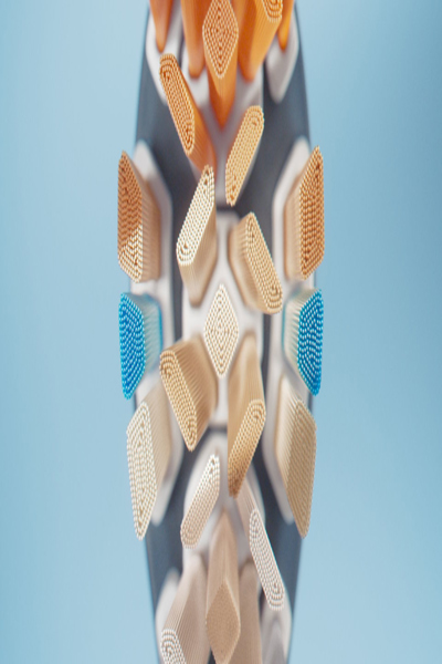 Philips Sonicare A3 Premium All-in-One HX9092 - HX9092/11