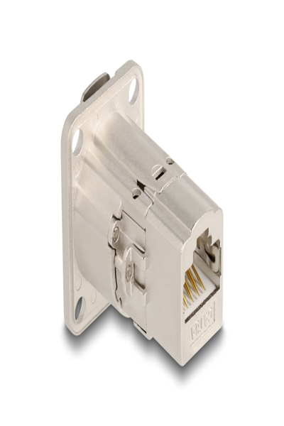 Coupleur réseau Delock - RJ-45 (F) Type D vers RJ-45 (F)