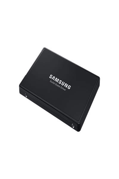 Samsung PM9A3 MZ-QL296000 - SSD
