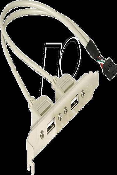 Delock USB panel - 10 pin USB header (M) to USB (F) - 71000