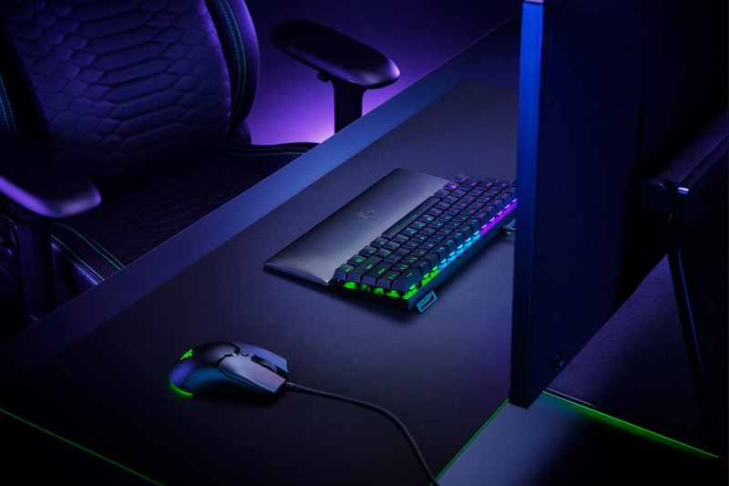 Razer Ergonomic Mini Wrist Rest Standard Edition - RC21-01720100-R3M1