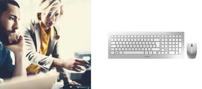 Cherry DW 8000 - Standard - Wireless - JD-0310EU