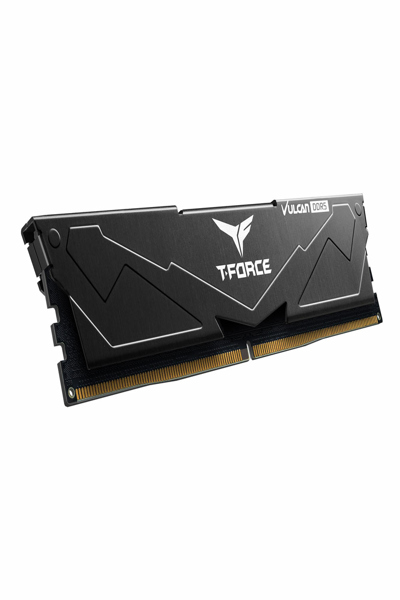 Team Group FLBD516G6000HC38A01 RAM Memory GB DDR5 MHz - FLBD516G6000HC38A01