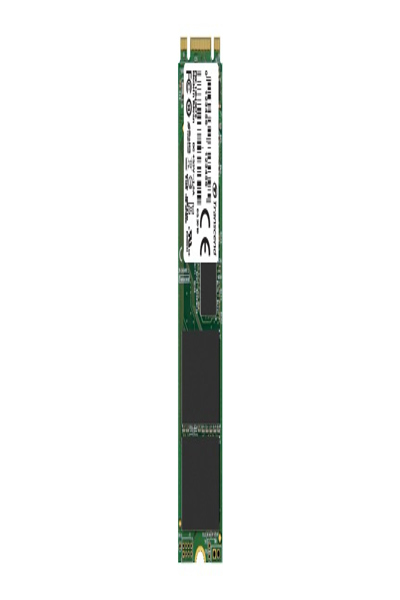 TS256GMTS800I