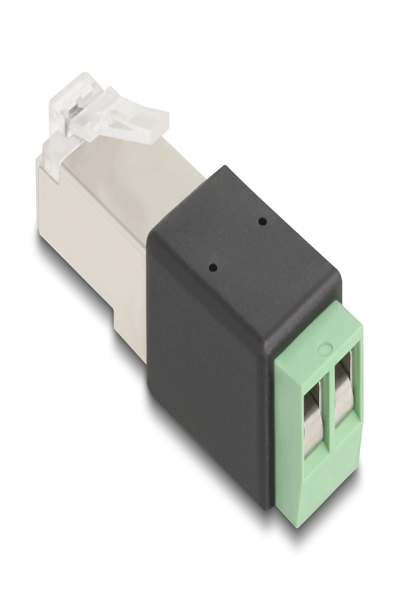 Delock Network connector - RJ-45 (M) to 2 pin terminal block - 66604