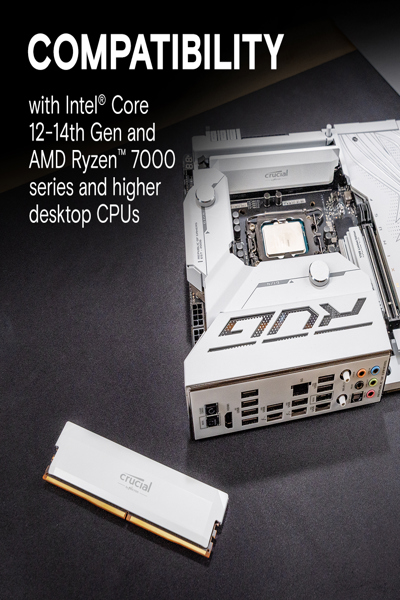 Crucial Pro DDR5-6000 blanc 16 Go UDIMM CL36
