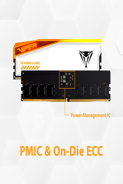 PATRIOT PVER532G66C34KT DDR5 RAM 32GB 6600MHz - PVER532G66C34KT