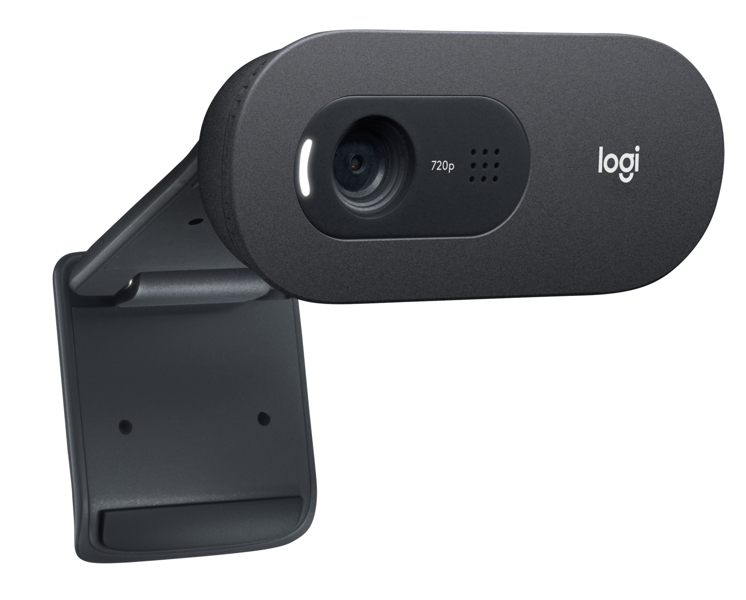 Logitech C505e Webcam - farge - 960-001372