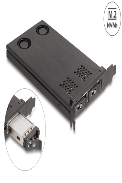 Delock Interface adapter - M.2 - 47042