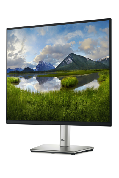 Dell P2225H 21.5" LED Monitor - P2225H
