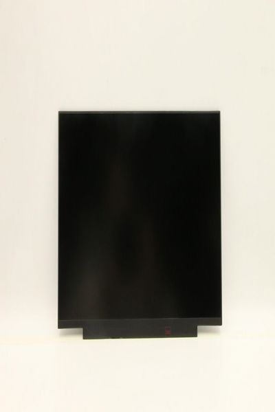 Lenovo FRU 14.0 FHD IPS 300 nits AU