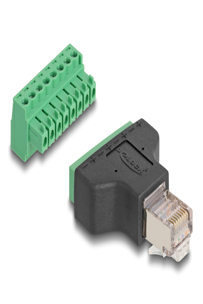 Adaptateur réseau Delock - RJ-45 (M) vers bornier 8 broches (F)
