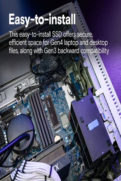 Crucial P310 1TB internal SSD - CT1000P310SSD8