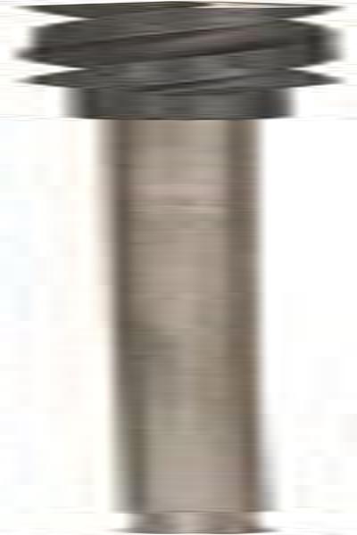 Bosch Schalungsbohrer 20 mm GesamtlÃƒÂ¤nge 600 2608597411 SDS-Plus 1 St