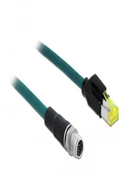 Delock Network cable - 8 pin M12-X (M) to RJ-45 (M)