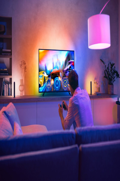 Bande dégradée Philips Hue Play 65" - 929002422801