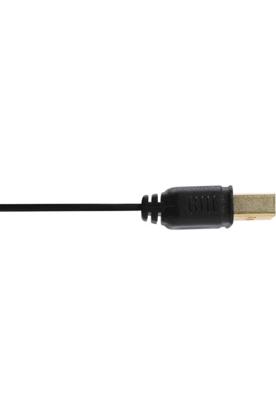 Câble plat USB 2.0 InLine USB Type A mâle / Mini-B mâle 5 broches noir/or 0,3 m