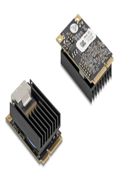 Delock 95281 Mini PCI Express to SFP 0.3m - 95281