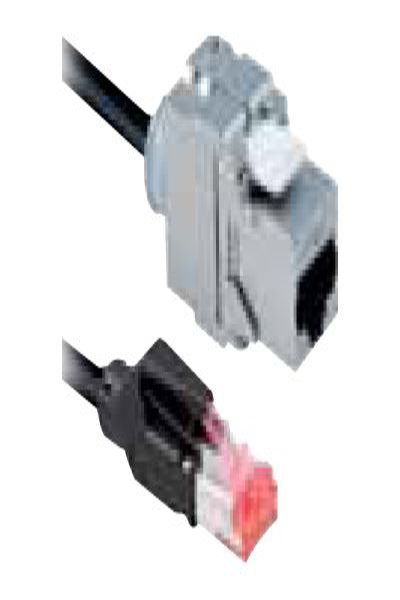 Câble de raccordement Bachmann - RJ-45 (M) vers RJ-45 (F)