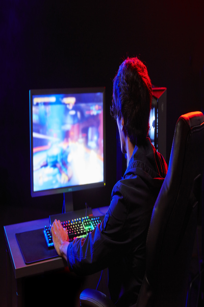 Kingston FURY Beast - DDR5 - module - KF564C32BB-16