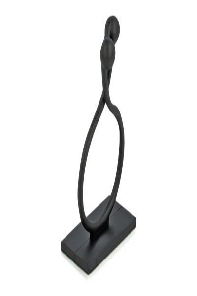 Serre-câbles Delock - noir (lot de 10)
