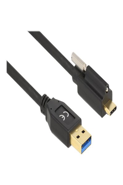 Câble USB Delock - USB Type A (M) vers USB-C 24 broches (M) vissable
