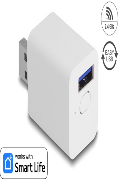 Delock WLAN EASY-USB Schalter Smart Life - 11832