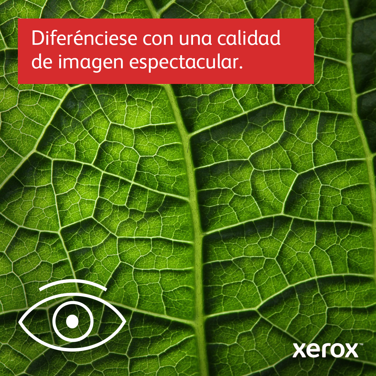 Xerox C230 Color Laser Printer - C230V_DNI