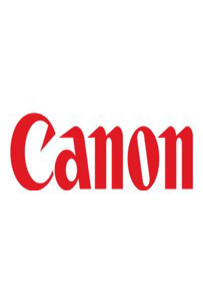 Canon PFI-3300 C - 330 ml - Cyan - Original - Ink Cartridge - 6434C001