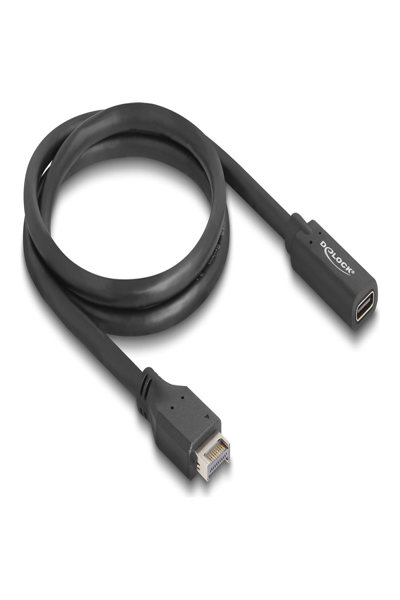 Câble USB Delock - USB 20 broches Type E (M) Clé A vers USB-C 24 broches (F)