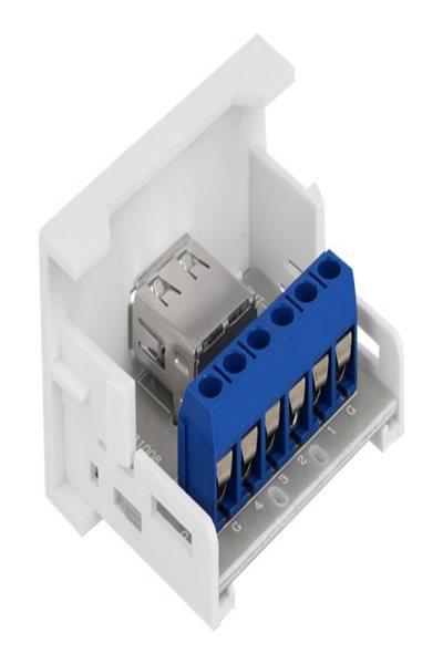 Delock Easy 45 - snap-in modules - 81343