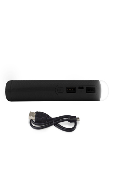 Batterie externe FANTEC RBP-100HL