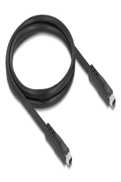 Delock Mini DisplayPort Kabel 16K 60 Hz 80 Gbps - Cable - Digital/Display/Video - 81176