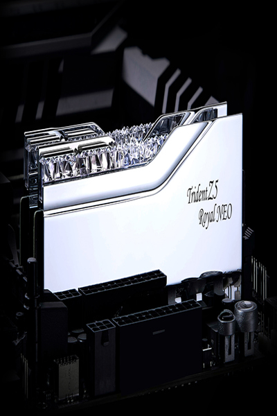 G.Skill DIMM 96GB DDR5-6000 Silver TZ5 Royal Neo - F5-6000J2836F48GX2-TR5NS