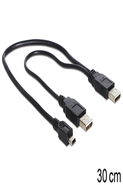 Câble USB Delock - USB (M) vers USB, mini-USB Type A (M)