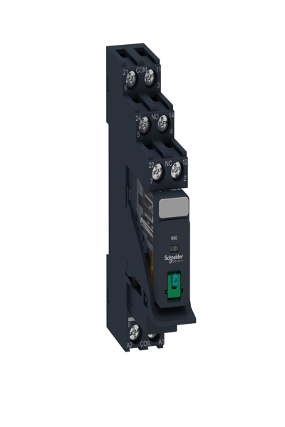 Schneider RXG21BDPV Noir 24 V IP20 65 g