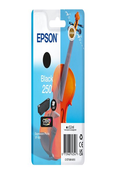 Epson Singlepack Black 250 ink - Original - Ink Cartridge