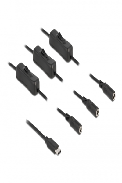 Delock Strömfördelare - 24-stifts USB-C (hane) till DC-uttag 5,5 x 2,1 mm (hona) - 86801