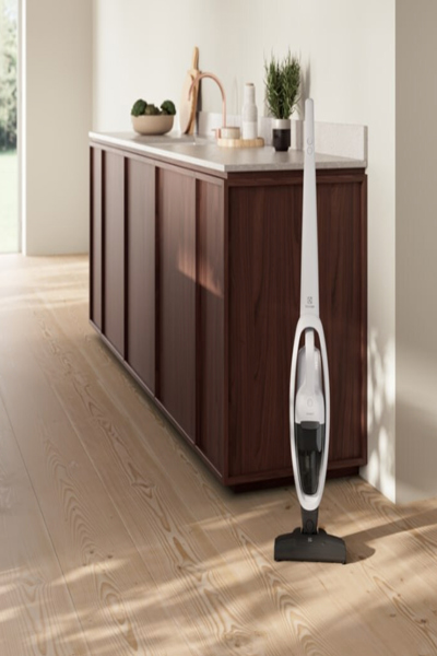 Electrolux Dulki? siurblys ES31CB18SH