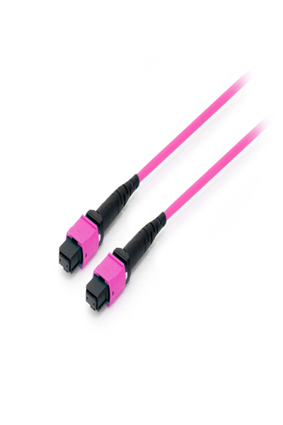 Câble de raccordement fibre optique Equip MTP -> MTP multimode OM4 Type A - Câble - Réseau