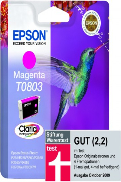 C13T08034010