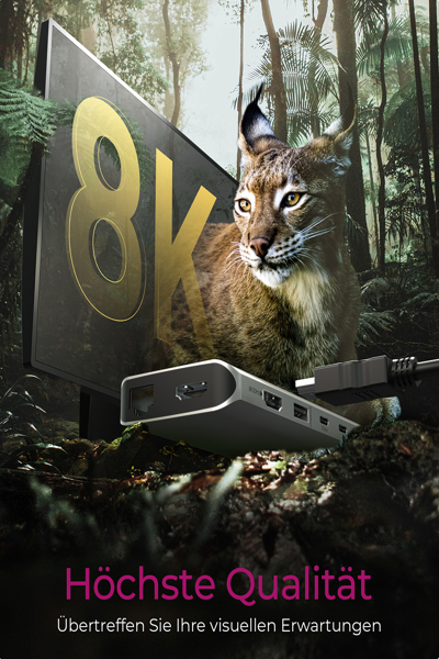 ICY BOX IB-DK4061-CPD USB-C 12-portars dockningsstation - IB-DK4061-CPD