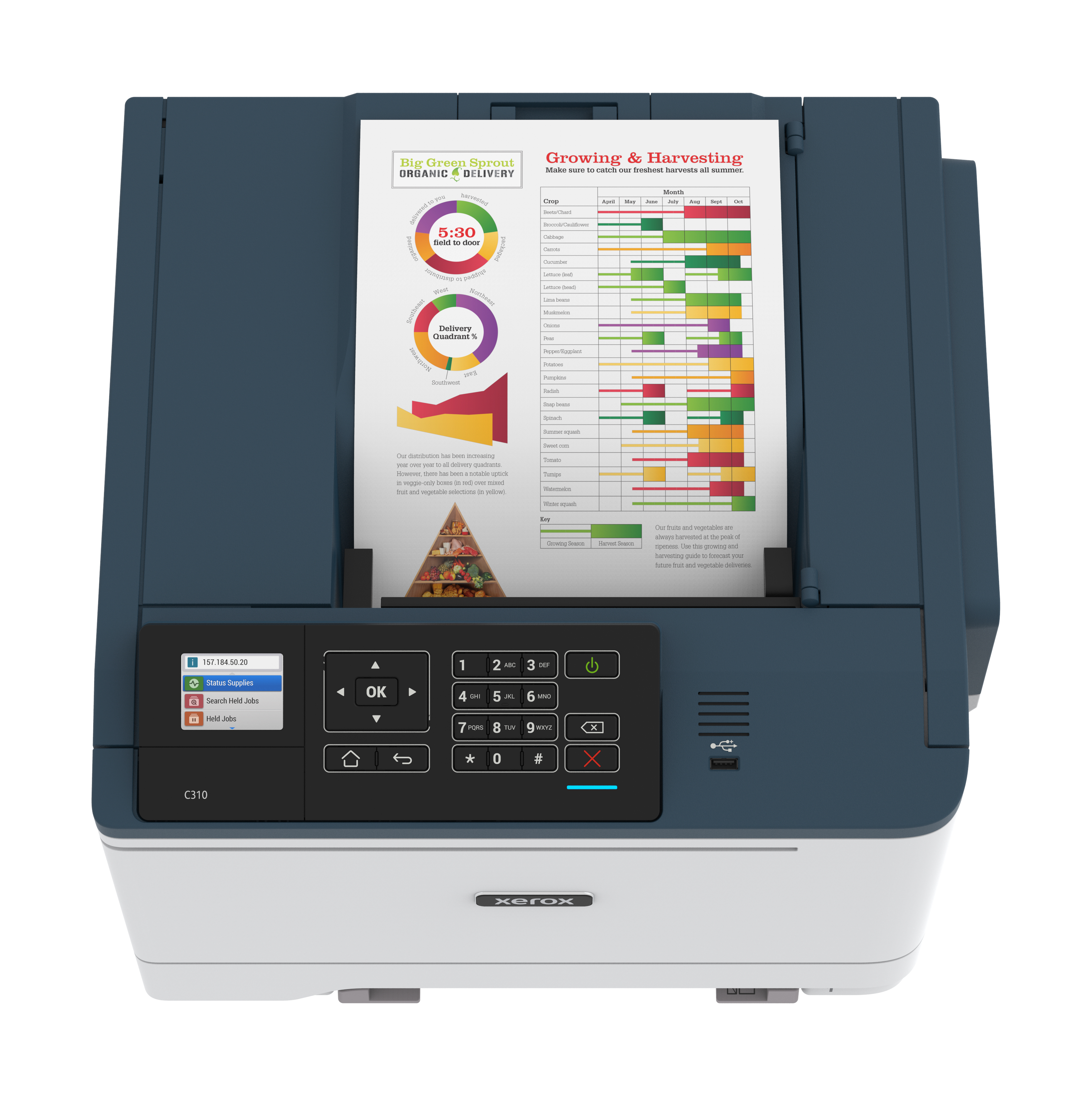 Xerox C310 Color Laser Printer - C310V_DNI