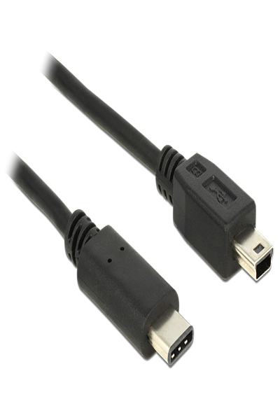 Câble USB Delock - USB-C 24 broches (M) vers mini-USB Type B (M)