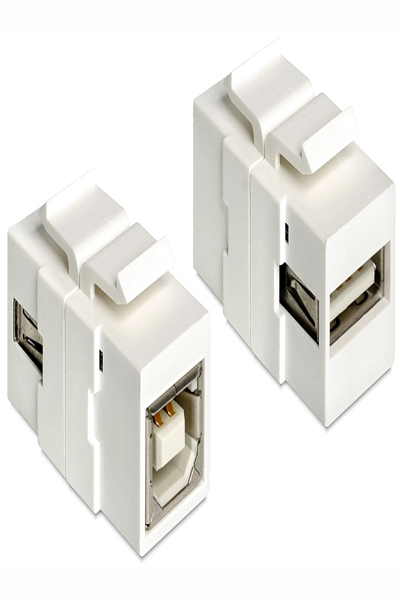 Delock Modular insert (coupling) - 86320