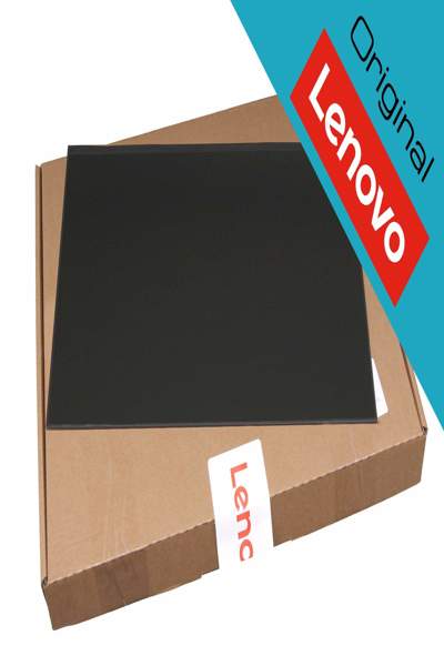 Écran Lenovo SD10W89582 1920x1080 mat