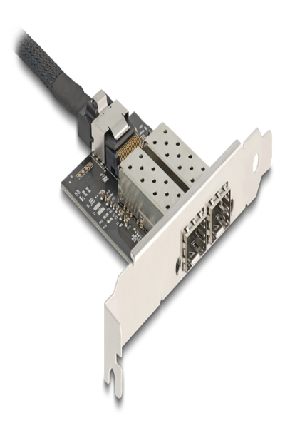 Delock 95281 Mini PCI Express to SFP 0.3m - 95281