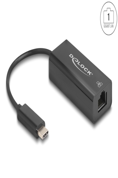 Delock USB 2.0 Type-C Adapter zu 10/100 Mbps LAN - Adapter - Digital - 64306