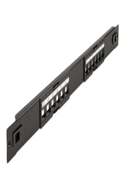 Delock Patch panel (blank) - rack mountable - 66821