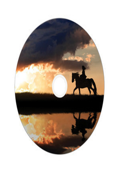 Verbatim 50x DVD+R DL - 8,5 GB 8x - 43703